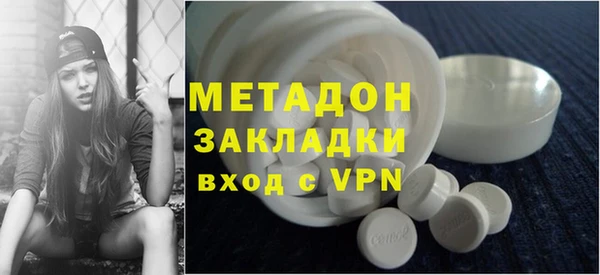 прущие грибы Абаза
