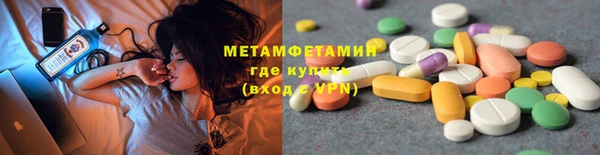 прущие грибы Няндома