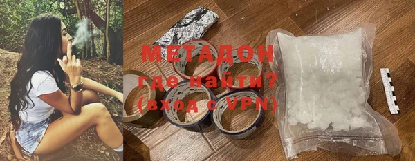 прущие грибы Няндома