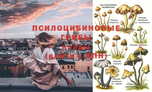 дмт Нягань