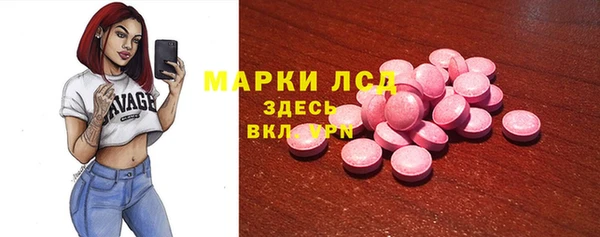 прущие грибы Няндома